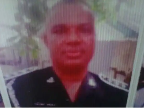 DPO Escapes Death After Big Tree Fell on Top of His Office (Photo)